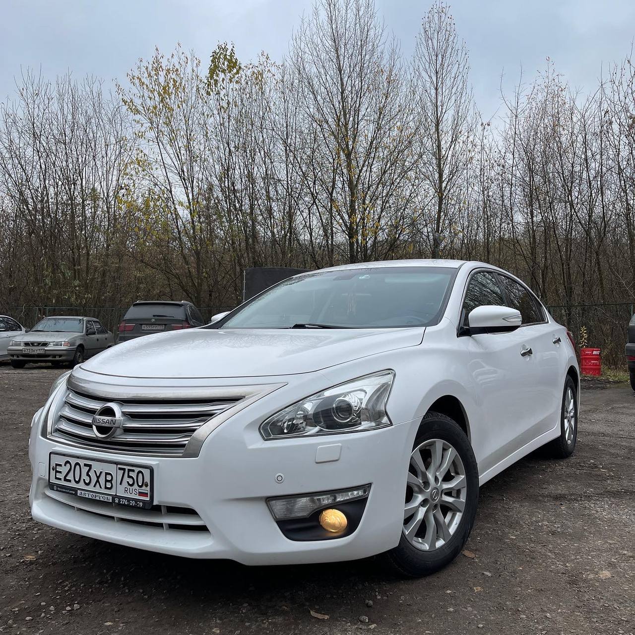 Nissan Teana — установка светодиодных линз и защита фар Nissan Teana — установка светодиодных линз и защита фар